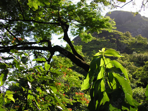Catacumba park