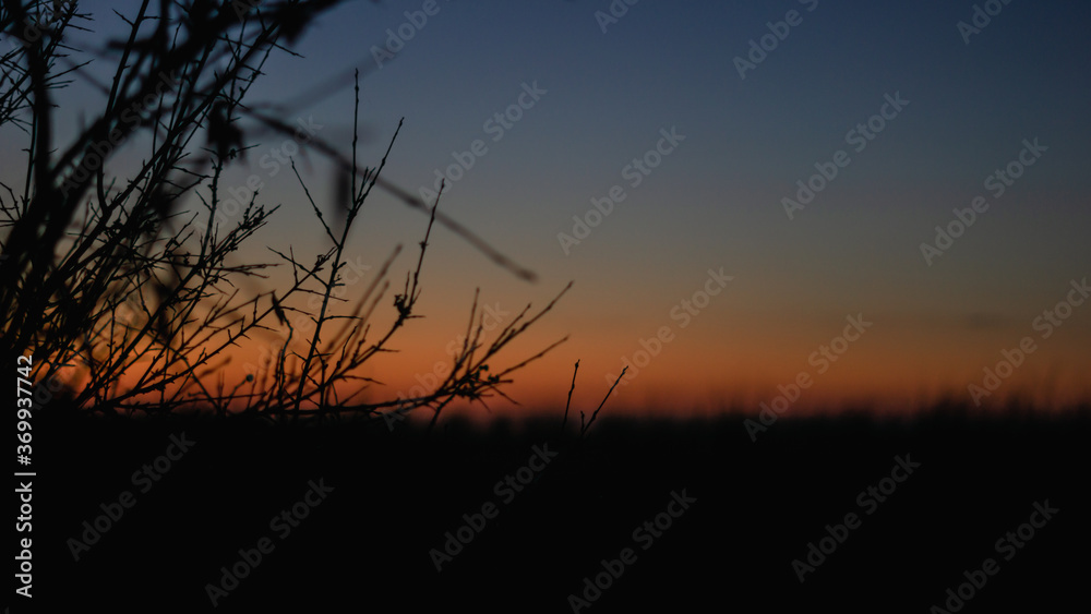 Obraz premium Gras vor Abendrot und Meer