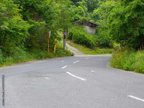 田舎の道路