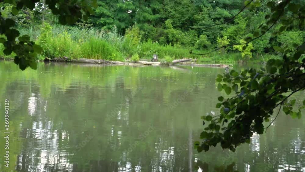 Peaceful view of river flowing between green woods. Peaceful view of river flowing between green woods.