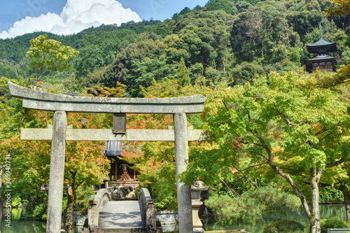 永観堂の極楽橋と鳥居 photo