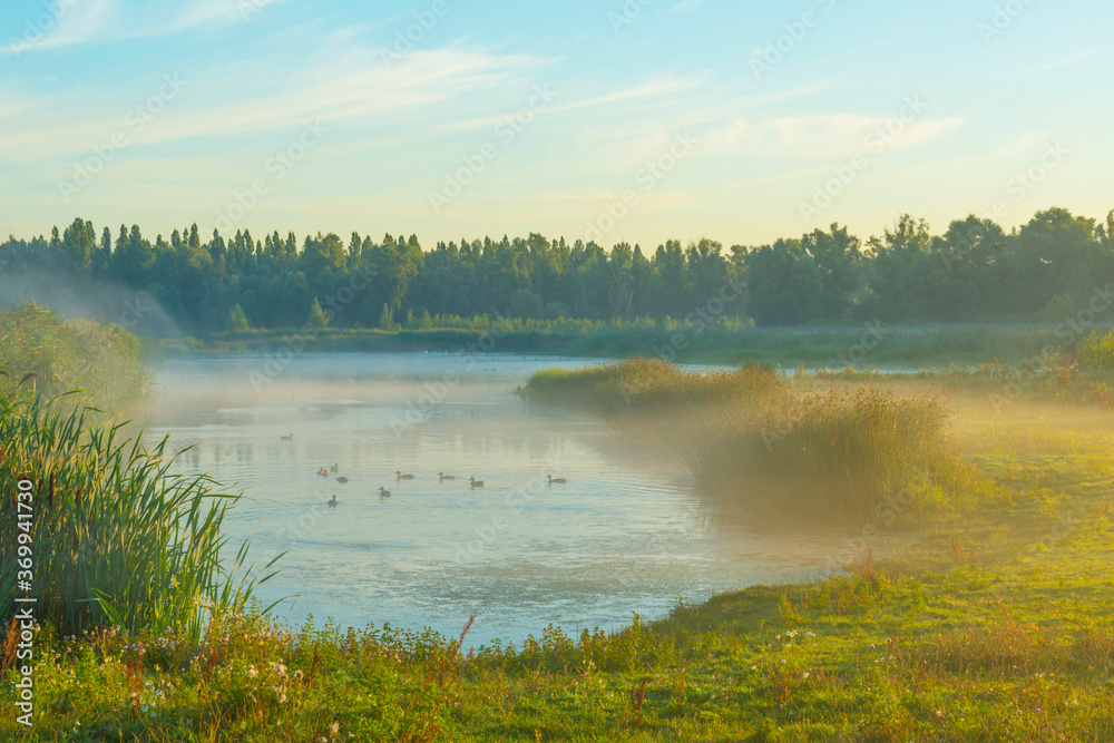 The edge of a foggy lake at sunrise in an early bright summer morning with a blue sky in sunlight, Almere, Flevoland, The Netherlands, August 6, 2020 The edge of a foggy lake at sunrise in an early bright summer morning with a blue sky in sunlight, Almere, Flevoland, The Netherlands, August 6, 2020
