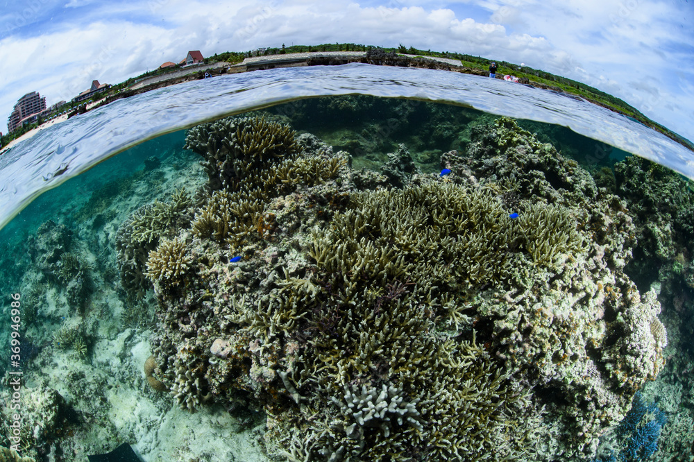Φωτογραφία Coral Reefs of Shigira Beach in Miyakojima, Okinawa, Japan