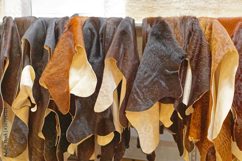 Bild auf Leinwand Cow hide selection