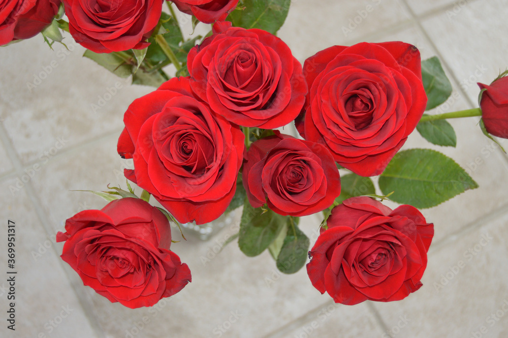 Obraz premium Red Roses