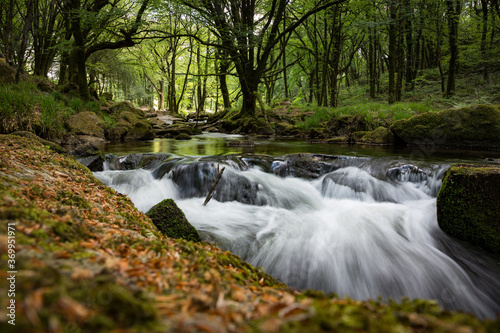 Golitha Falls cascades of River Fowey in Cornwall, UK photo