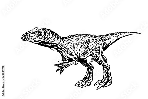 Vector Allosaurus isolated on white background,graphical illustration