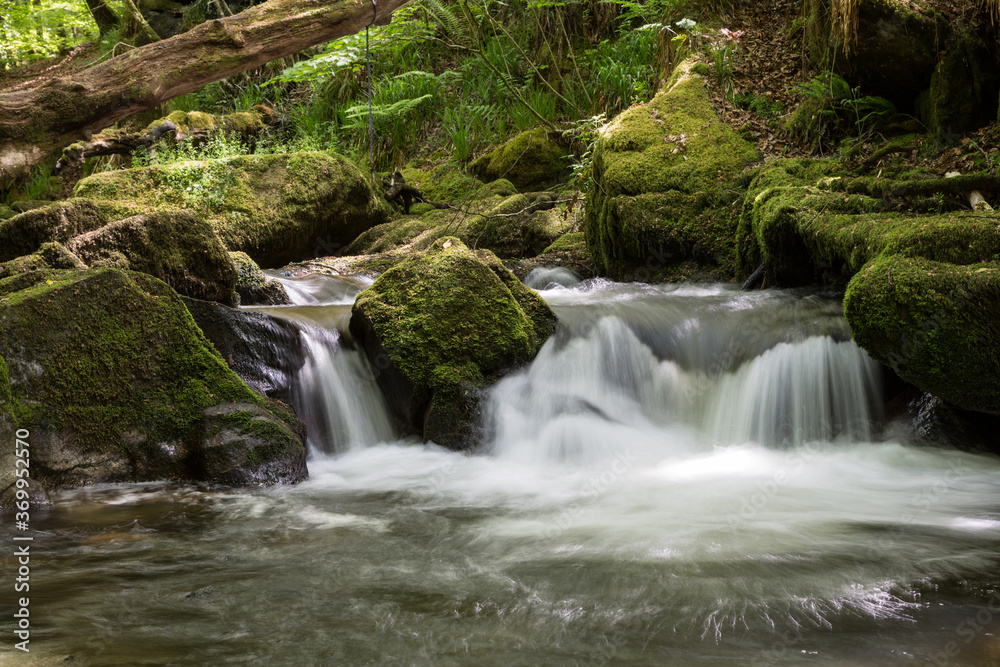 Golitha Falls cascades of River Fowey in Cornwall, UK Golitha Falls cascades of River Fowey in Cornwall, UK