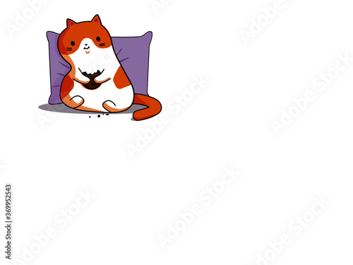 кот с печенькой