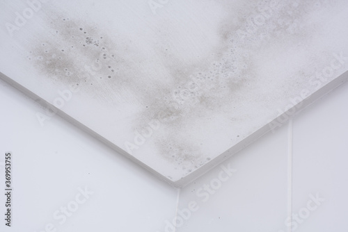 Fotografía Start of mold build-up on bathroom ceiling, still with simple cleaning solution