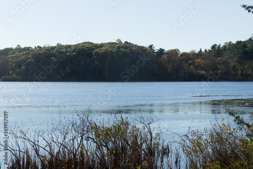 A view of Ponkapoag Pond 