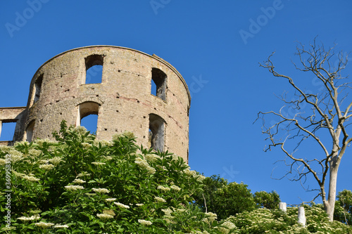 Castle tower of Borgholm Castle in Sweden photo