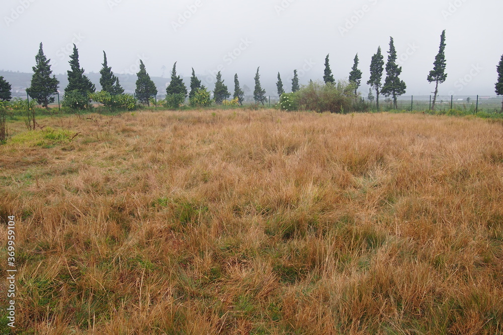 Dieng Tourism Destinations, Central Java, Indonesia.
Dieng Tourism Destinations, Central Java, Indonesia.