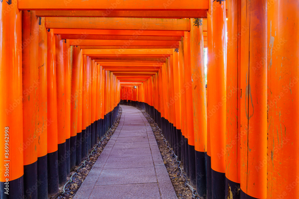 Torii gates, Inari mountain, in Kyoto Torii gates, Inari mountain, in Kyoto