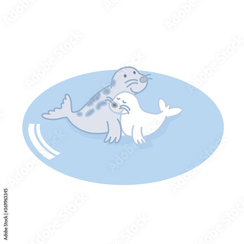 アザラシの親子1