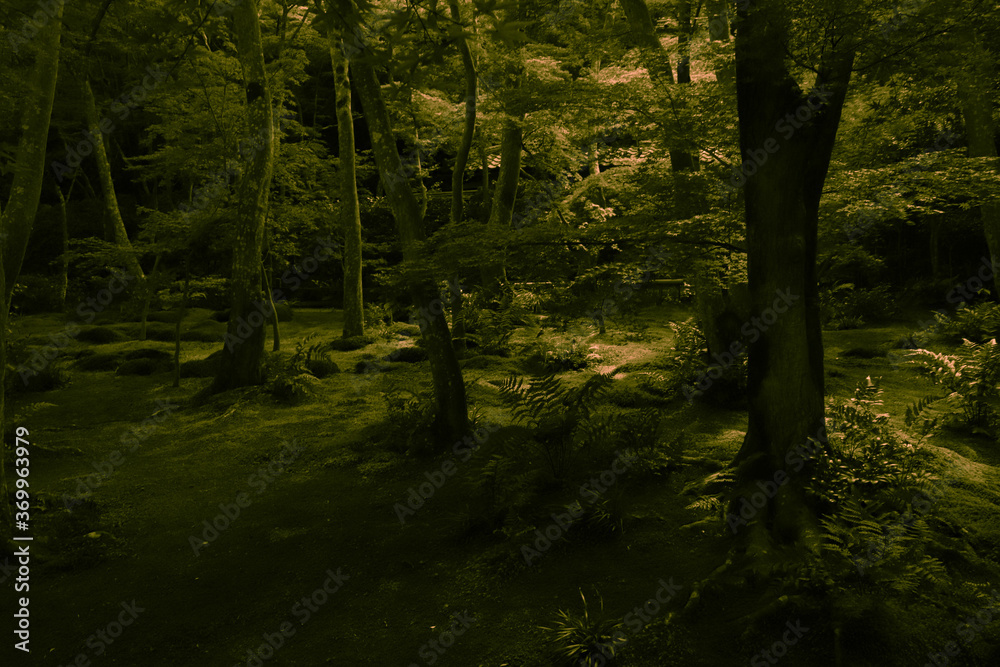 Obraz premium 景色