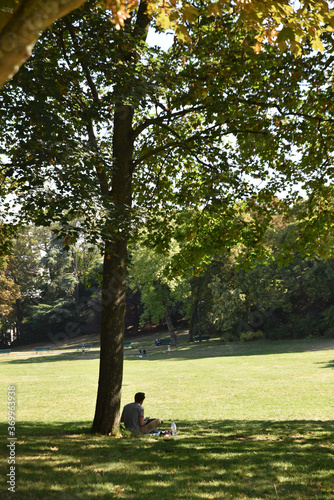 Canvas Print A l'ombre des arbres du parc Montsouris à Paris en été, France