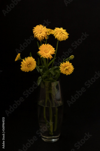 Flower in a vase on a black background © elenae333