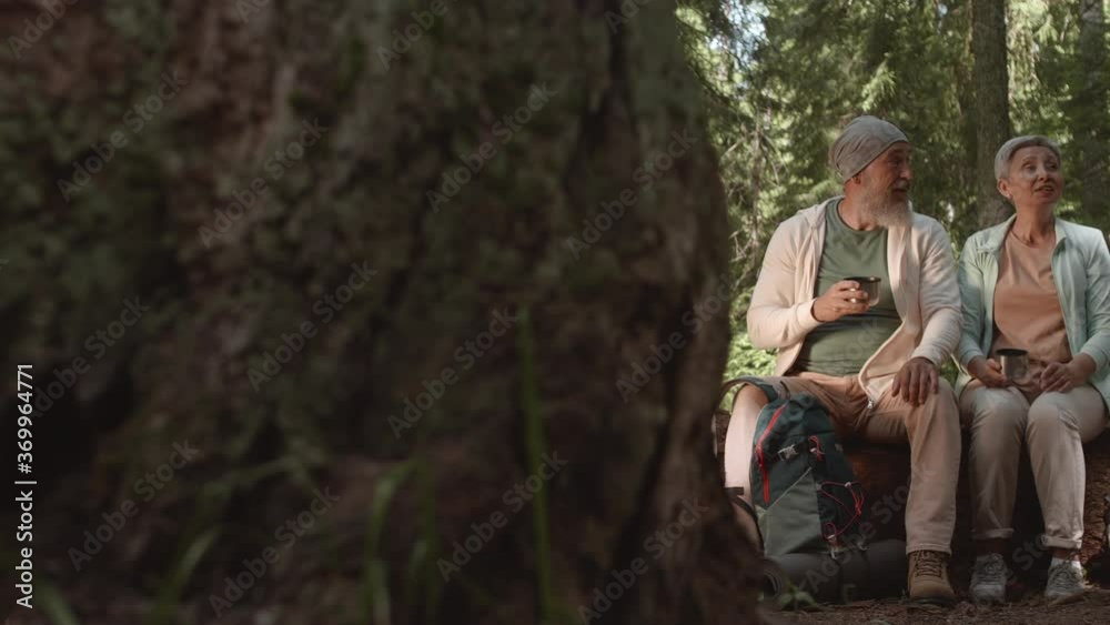 Tracking right of cheerful elderly man and woman are sitting in woods, drinking tea from thermos and enjoying nature Tracking right of cheerful elderly man and woman are sitting in woods, drinking tea from thermos and enjoying nature