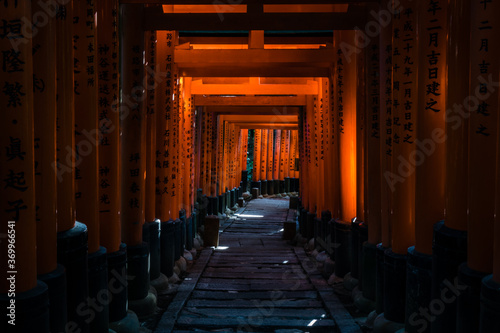 Santuario di Fushimi Inari-Taisha, Kyoto, Giappone #369966541