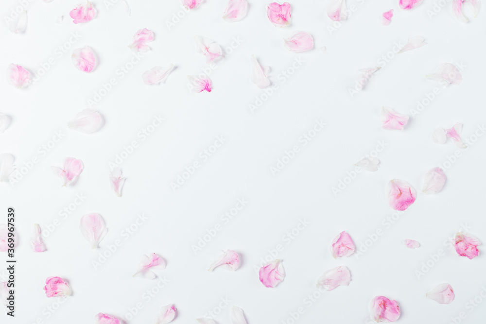 Feminine flat lay frame pink peony petals
