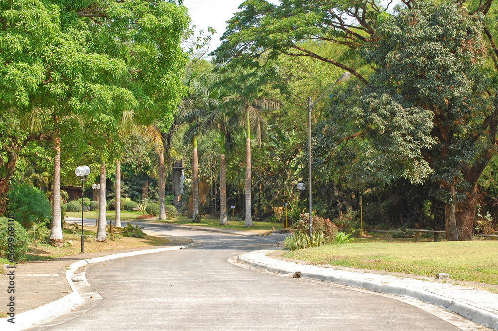 Meralco Development Center (MMLDC) pathway with trees in Sumulong Highway, Antipolo, Rizal, Philippines