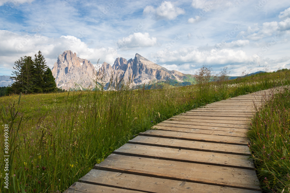 Alpe di Siusi - Seiser Alm with Sassolungo - Langkofel mountain group in front of blue sky with clouds. Alpe di Siusi - Seiser Alm with Sassolungo - Langkofel mountain group in front of blue sky with clouds.