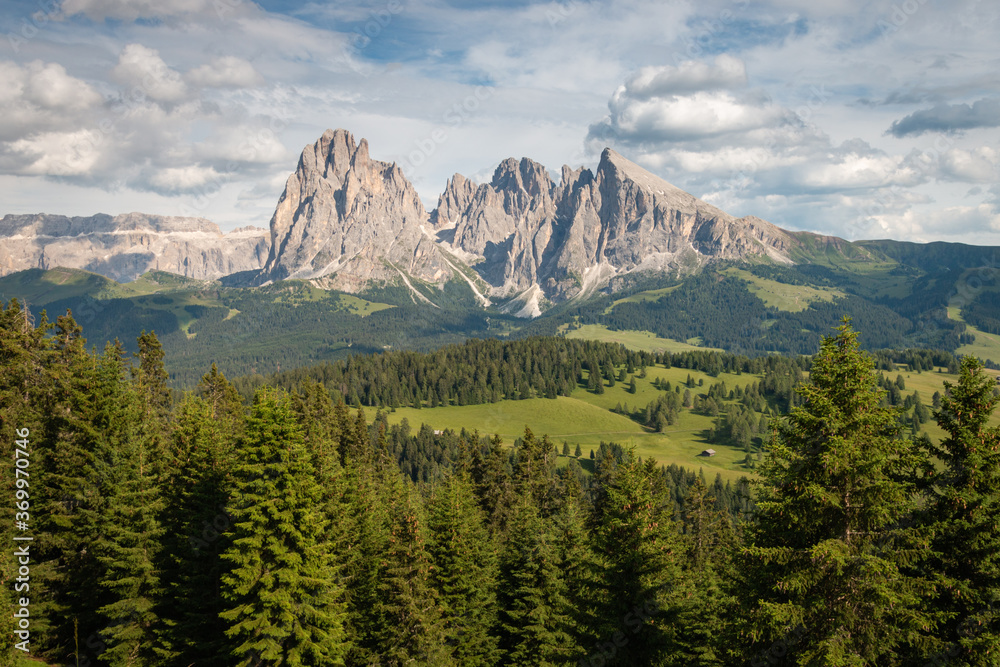 Alpe di Siusi - Seiser Alm with Sassolungo - Langkofel mountain group in front of blue sky with clouds