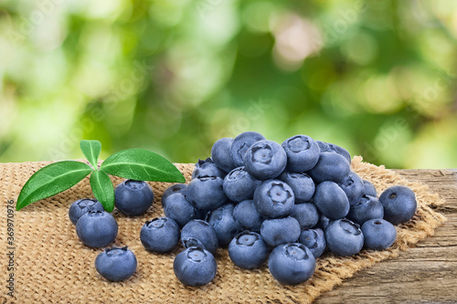 fresh blueberry on wooden table with blurred garden background. Clipping path and full depth of field