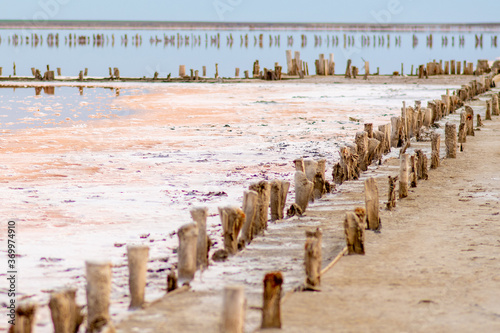 Wooden posts left over from salt production on the lake. © bondar232