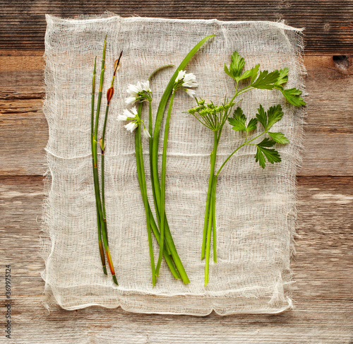 Still Life of herbs on gauze photo