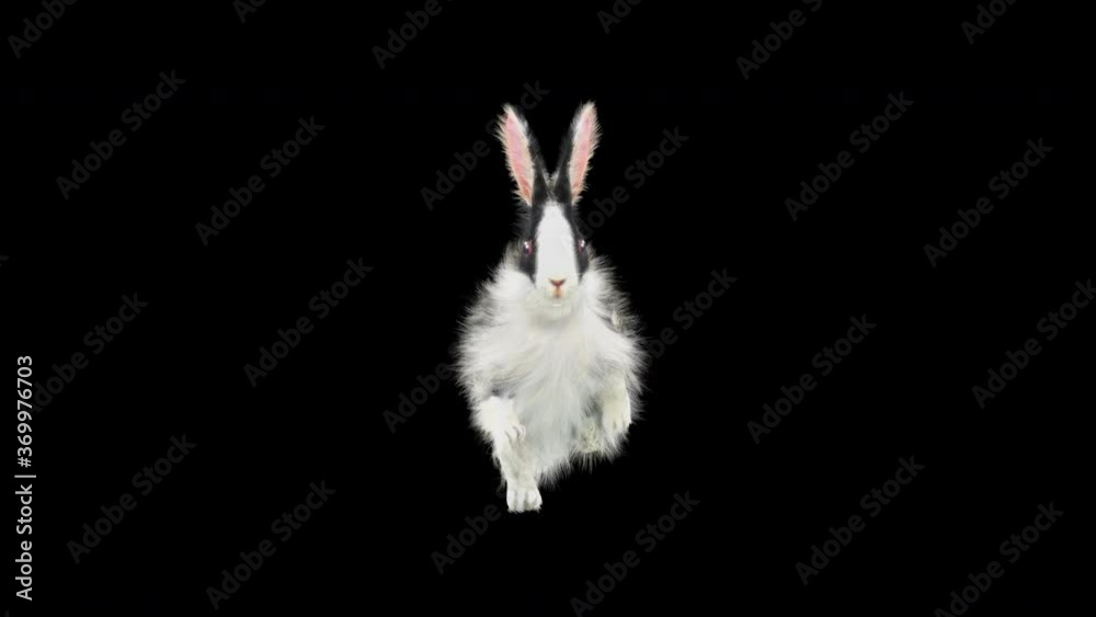 Rabbit Running CG fur, 3d rendering, animal realistic CGI VFX ...