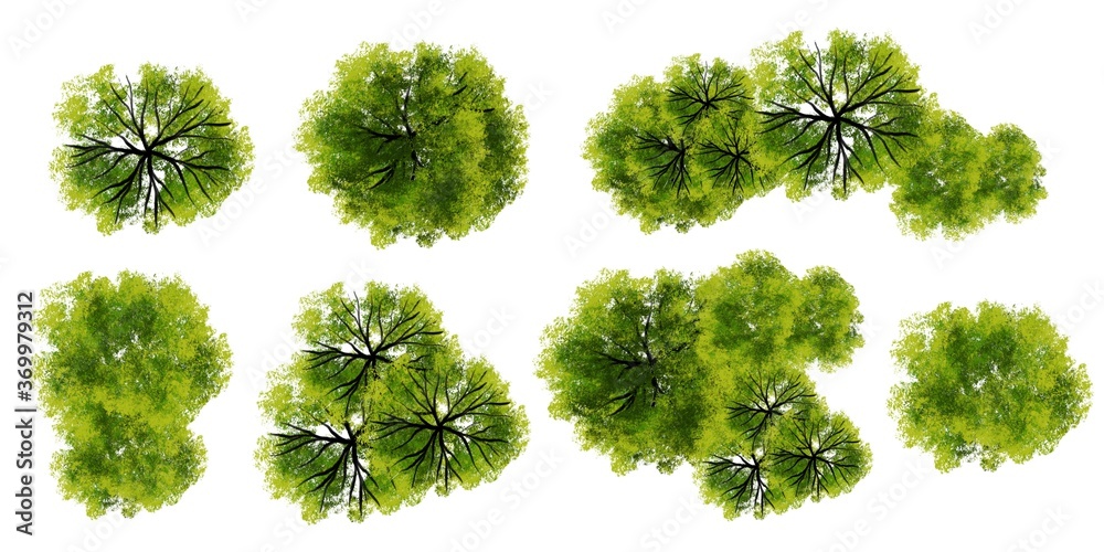 Collection of watercolor tree top view for landscape plan and architecture layout
 - obrazy, fototapety, plakaty 