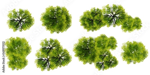 Collection of watercolor tree top view for landscape plan and architecture layout
