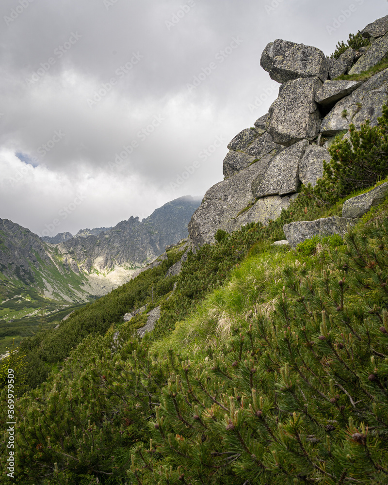 Rock formation on a hiking trail in High Tatras mountains in Slovakia surrounded by coniferous trees. Top of mountain in background