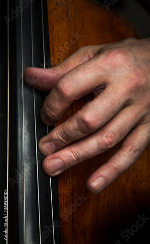 Close-up of a hand on the strings of a cello photo