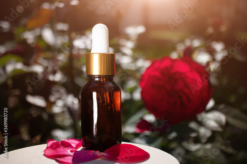 Natural rose essential oil in a glass bottle on the background of a rose bush. The concept of organic essences  natural cosmetic and health products. Modern apothecary.