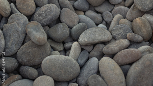 Canvas Print Many smooth sea stones on the beach