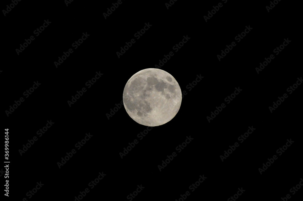 Obraz premium Super Moon, Full moon.