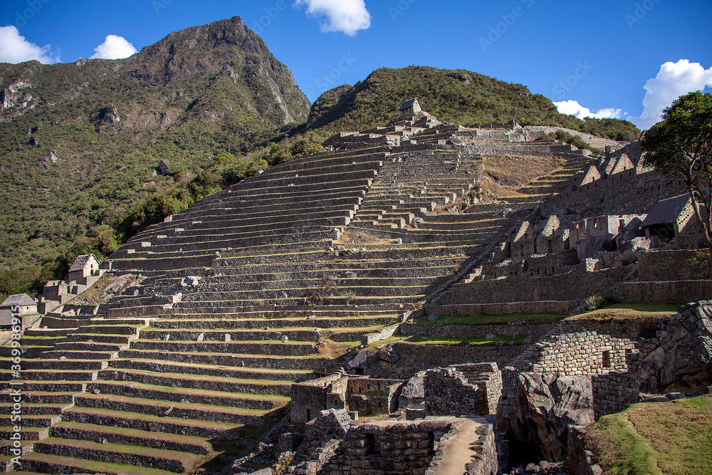 The Inca of Machu Picchu terraced the rugged Andes Mountains in order to grow their food.
