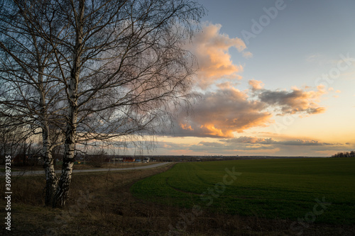 sunset over the field