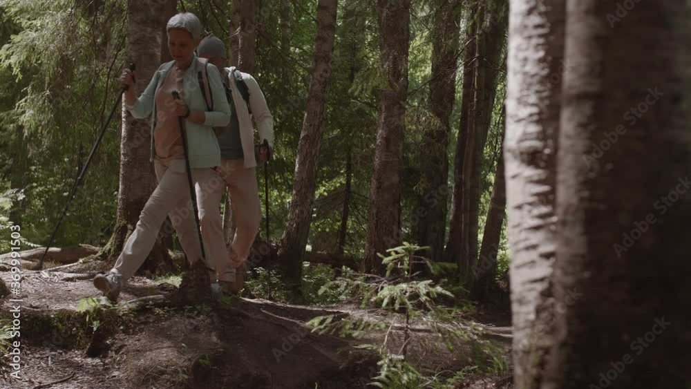 Sporty old Caucasian man and his beautiful Asian wife wearing tourist backpacks walking with ski poles deep in summer woods Sporty old Caucasian man and his beautiful Asian wife wearing tourist backpacks walking with ski poles deep in summer woods