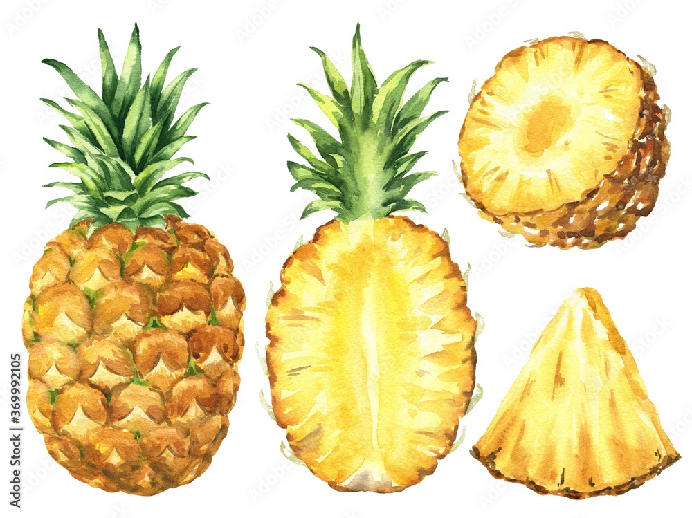 Hand drawn watercolor pineapple set isolated on white background. Food illustration. Hand drawn watercolor pineapple set isolated on white background. Food illustration.