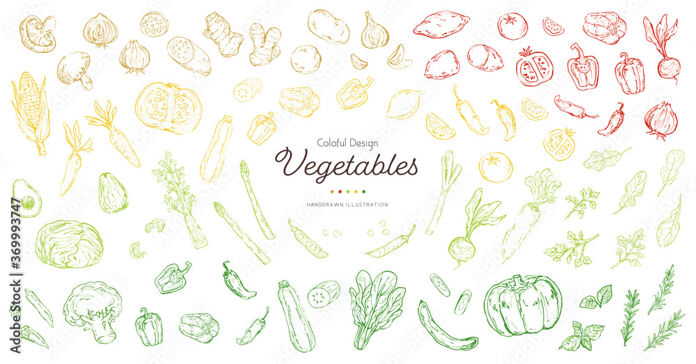 おしゃれでラフな野菜のスケッチイラストセット おしゃれでラフな野菜のスケッチイラストセット