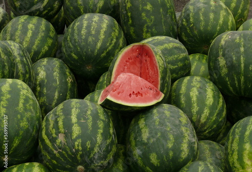 watermelons and melons