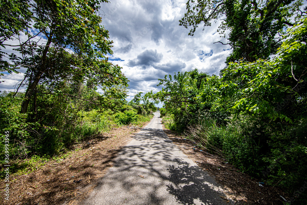 Staten Island Path Staten Island Path