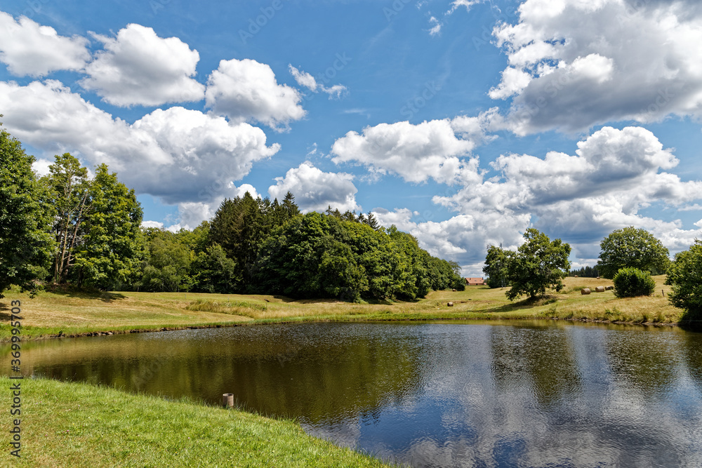 Fototapeta premium étang de haute-saône