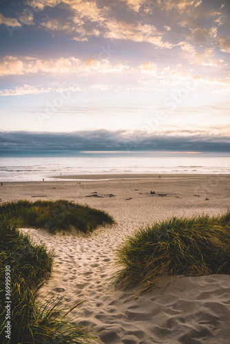 Oregon Coast sand dune summer sunset  Nehalem Bay  Pacific Northwest