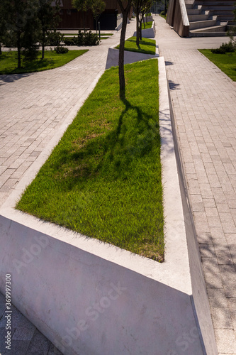Wallpaper Mural a path in the park Torontodigital.ca