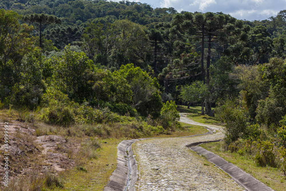 Stone pathway at the Guartela State Park - Tibagi, PR - Brazil